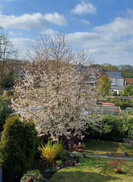 Ausblick vom Balkon